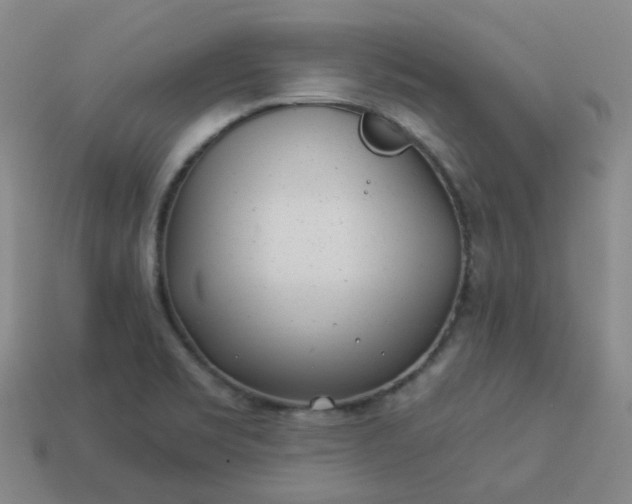 X0000114071469200910191512