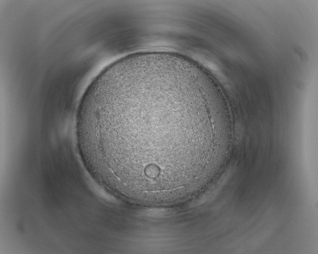 X0000114071470200910191512