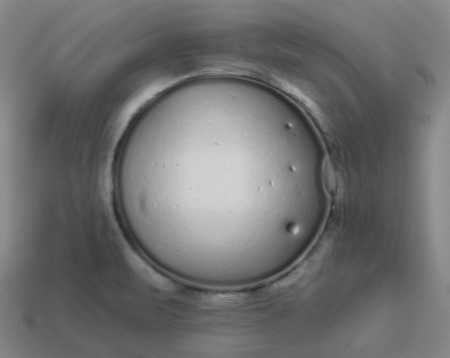 X0000114071471200910191512