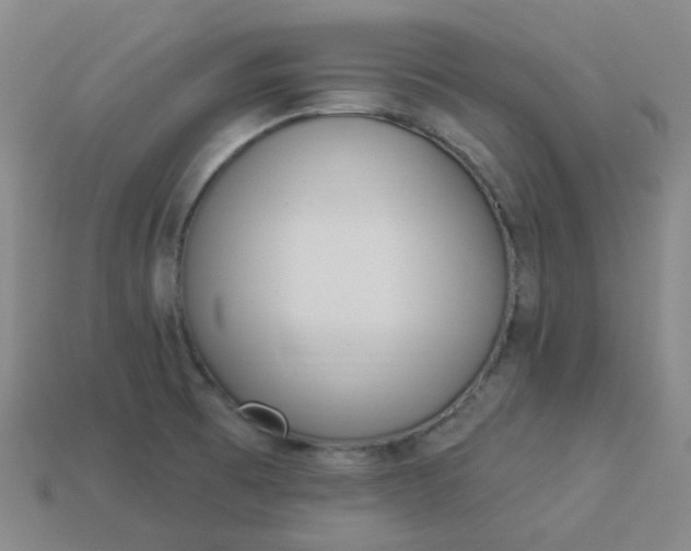 X0000114071473200910191512