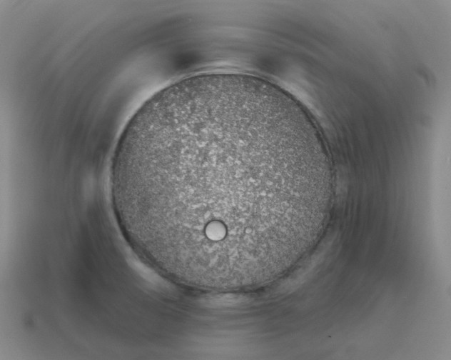 X0000114071474200910191512