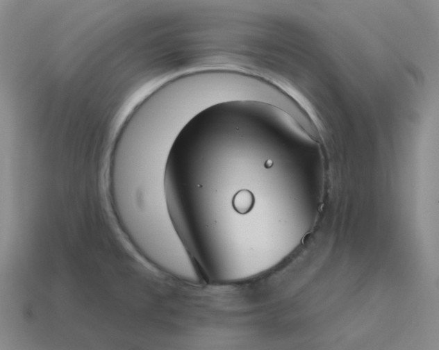 X0000114071477200910191512