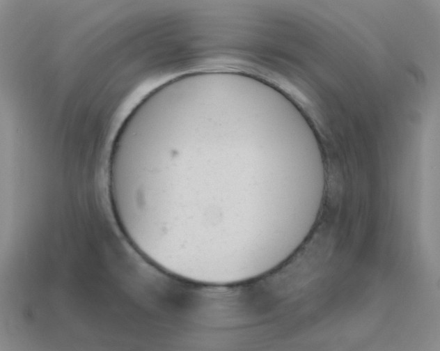 X0000114071478200910191512