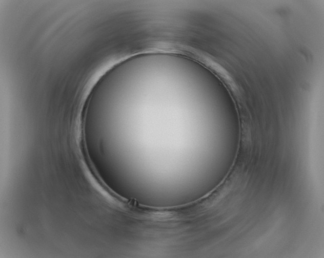 X0000114071479200910191512