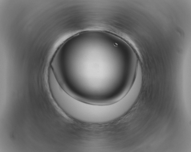 X0000114071480200910191512