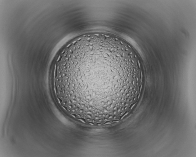 X0000114071482200910191511