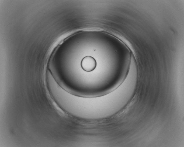 X0000114071485200910191511