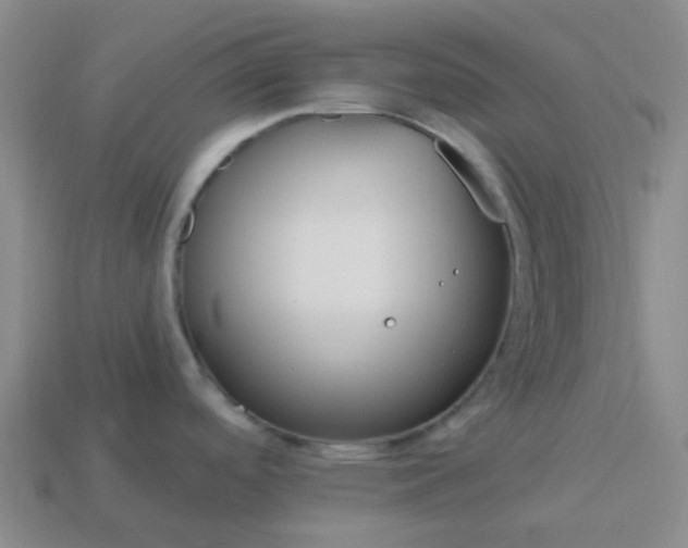 X0000114071488200910191511