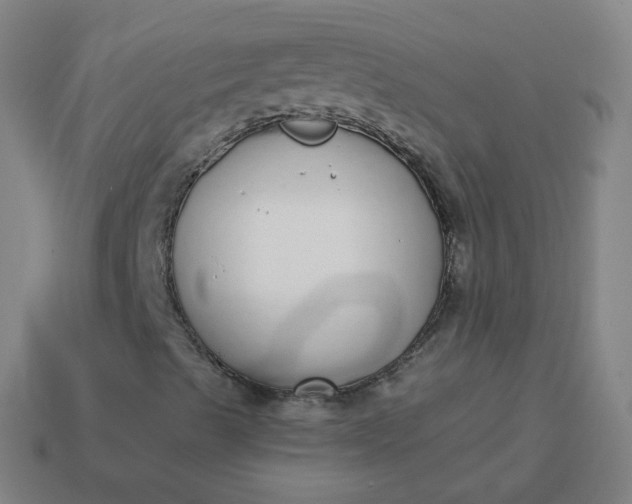 X0000114071489200910191511