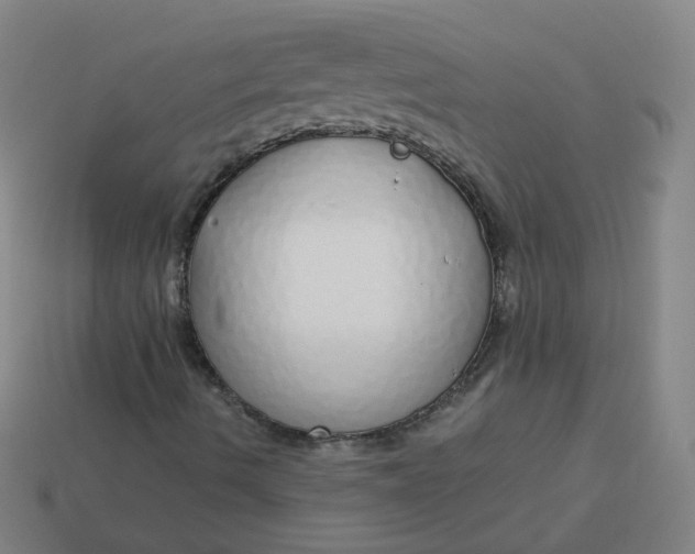 X0000114071490200910191511