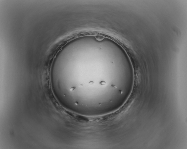 X0000114071494200910191511