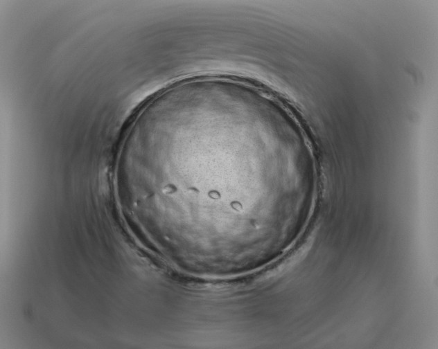 X0000114071497200910191511