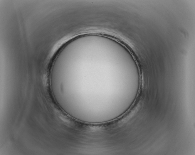 X0000114071501200910191511