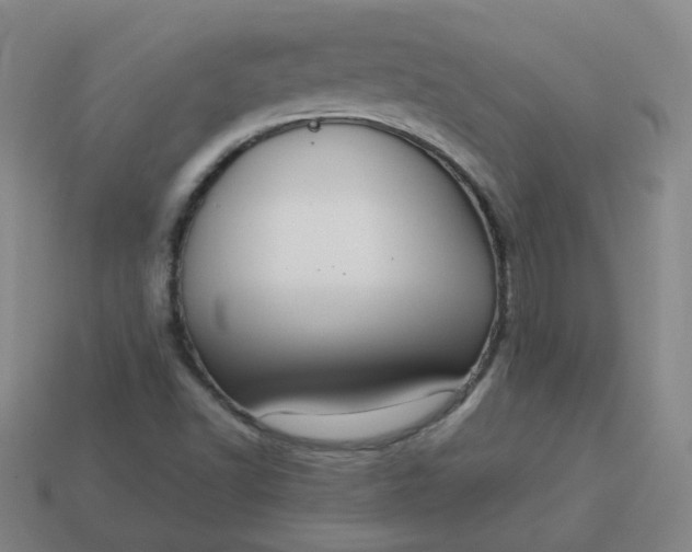 X0000114071502200910191511