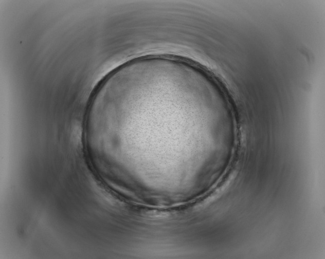 X0000114071505200910191511