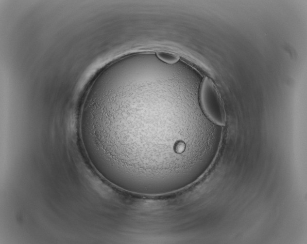 X0000114071506200910191511