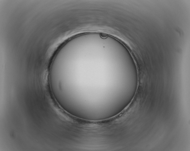 X0000114071507200910191511