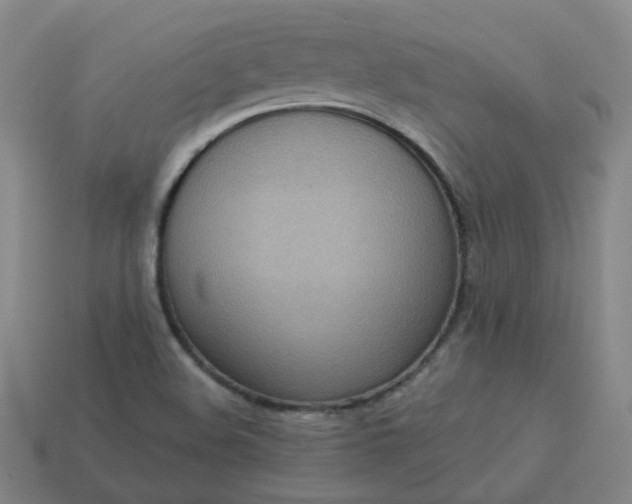 X0000114071508200910191511