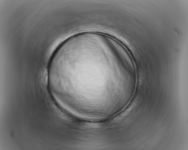 X0000114071509200910191511