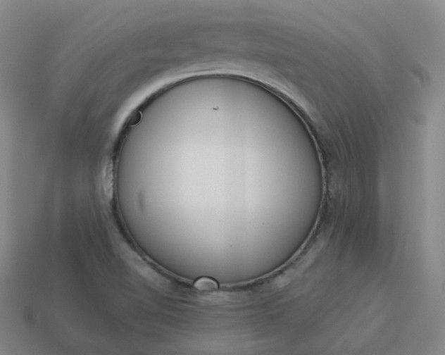 X0000114071510200910191511