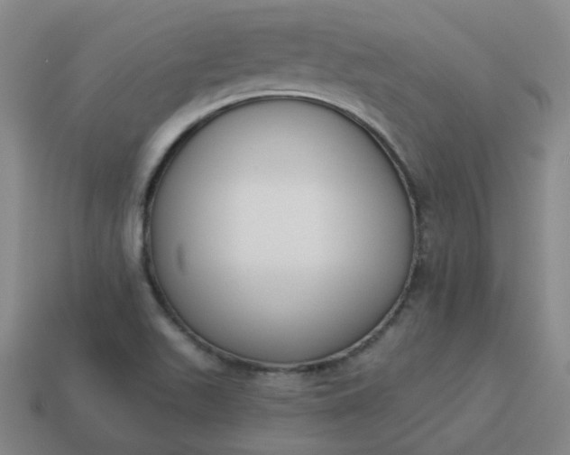 X0000114071511200910191511