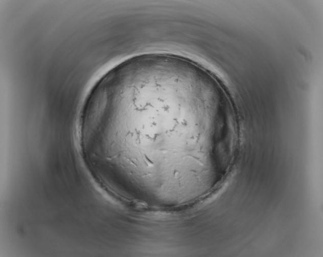 X0000114071517200910191511