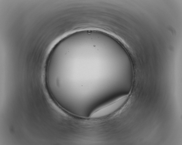 X0000114071518200910191511