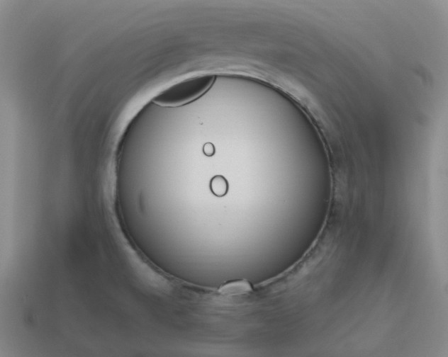 X0000114071520200910191511