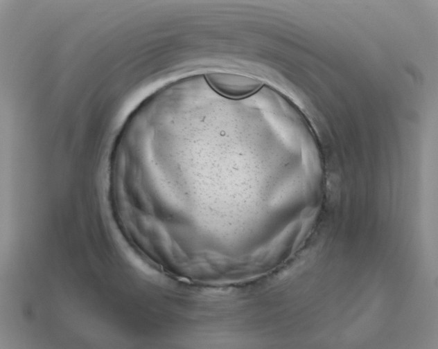 X0000114071523200910191511