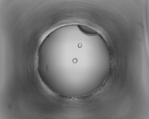 X0000114071524200910191511