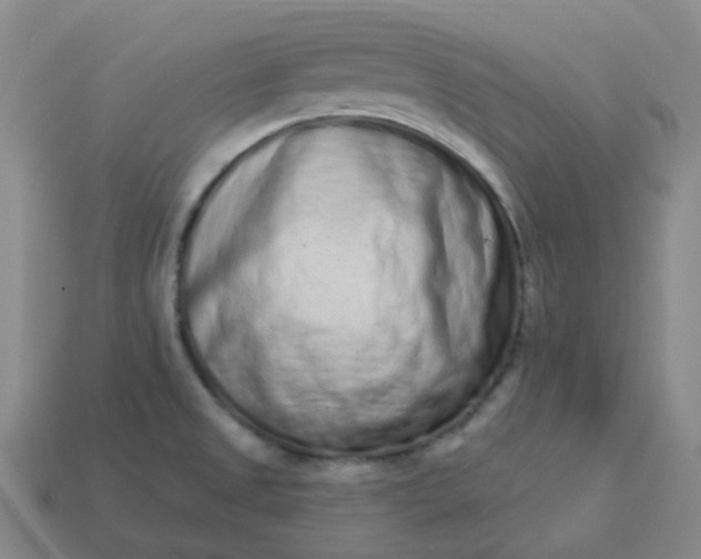 X0000114071525200910191511