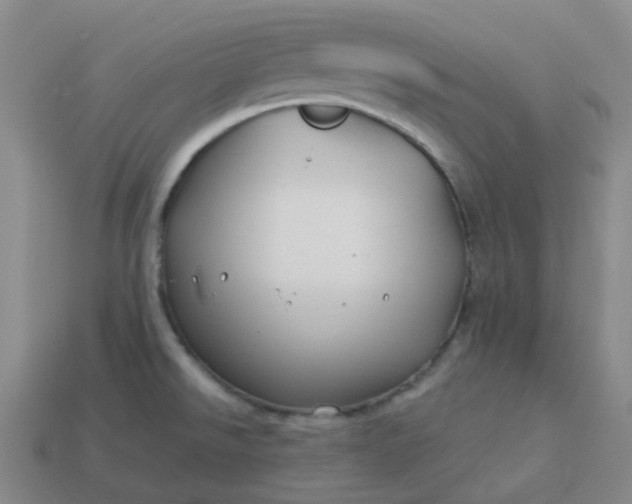 X0000114071526200910191511