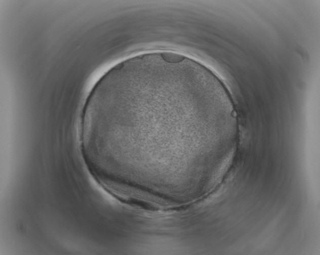 X0000114071527200910191511