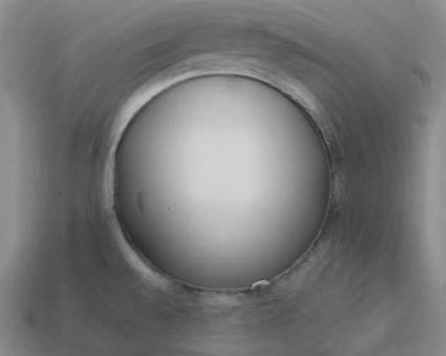 X0000114071528200910191511