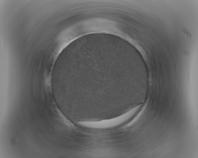 X0000114071529200910191511