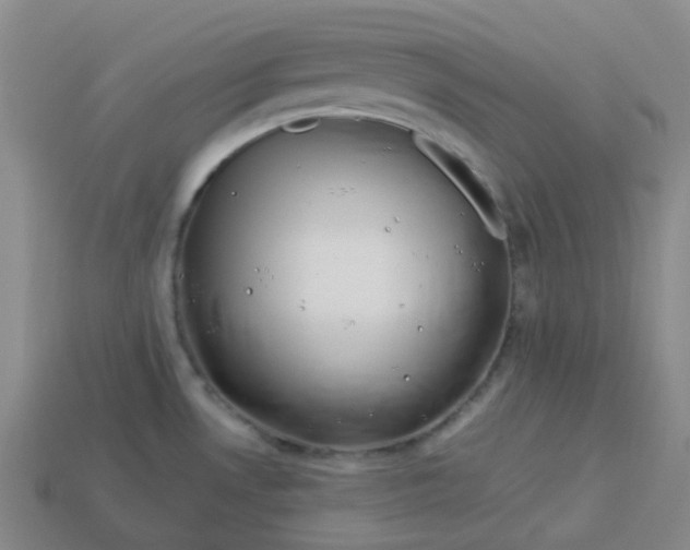 X0000114071530200910191511