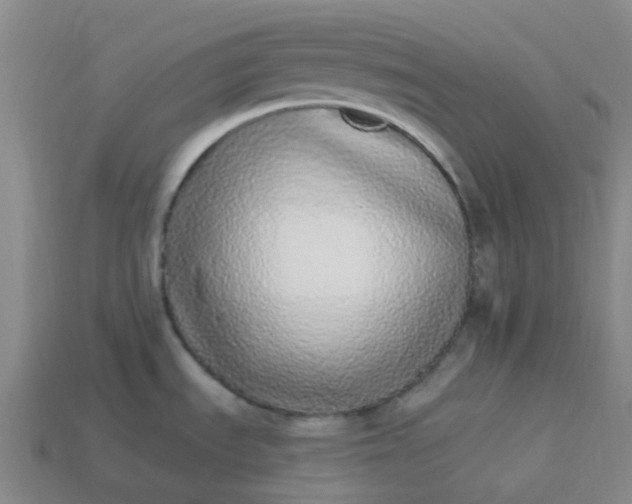 X0000114071535200910191511