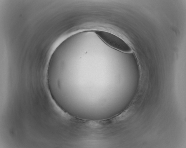 X0000114071536200910191511