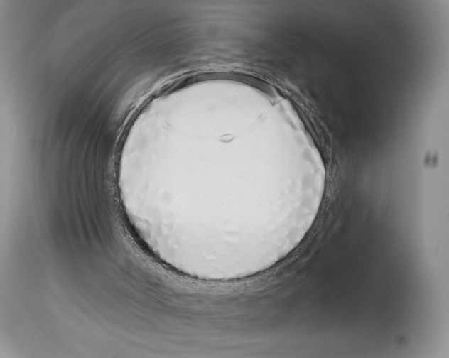 X0000114070002200911161203