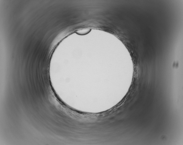 X0000114070004200911161203