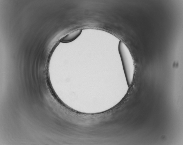 X0000114070007200911161203