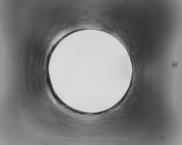 X0000114070008200911161203