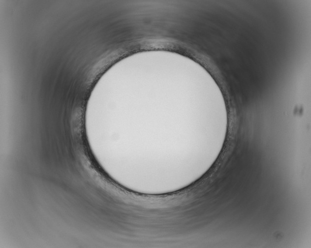 X0000114070010200911161203