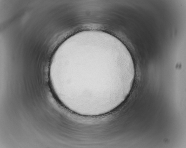 X0000114070014200911161203