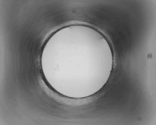 X0000114070015200911161203