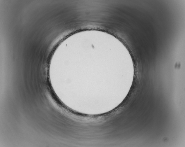 X0000114070016200911161203