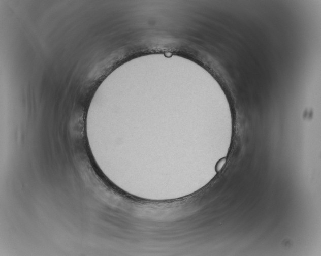 X0000114070017200911161203