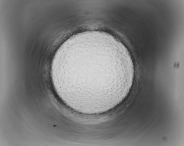 X0000114070018200911161203