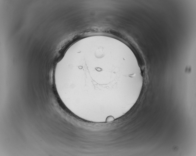 X0000114070019200911161203