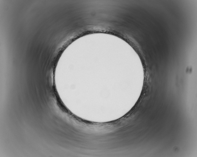 X0000114070020200911161203